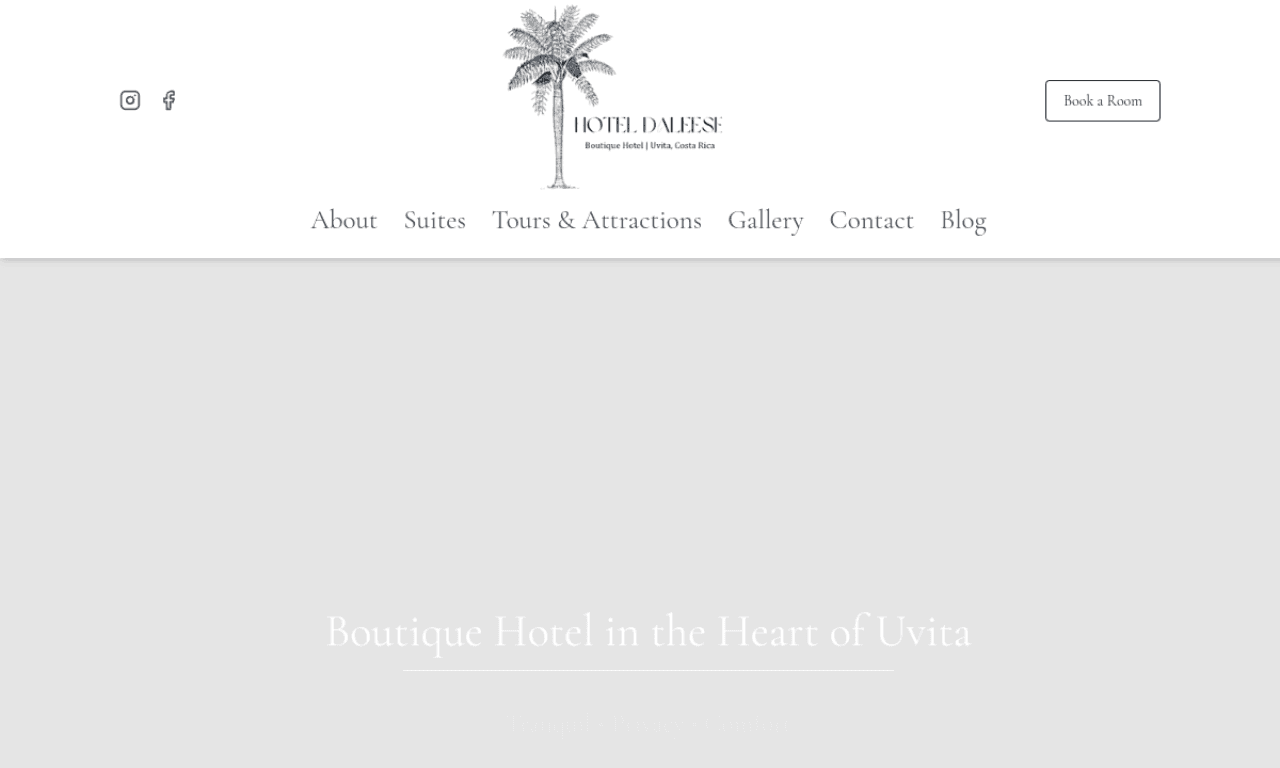 Hotel Daleese boutique hotel website