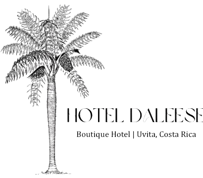 Hotel Daleese